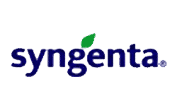 syngeta1